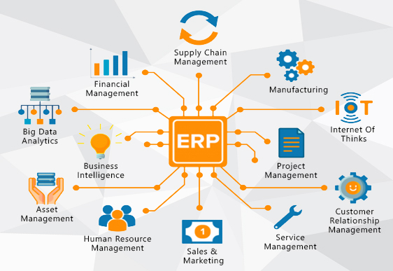 ERP System in Malaysia More Rigid Than Other Countries